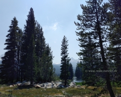 Yosemite NP