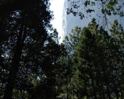 Yosemite NP