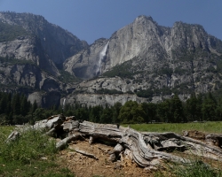 Yosemite NP